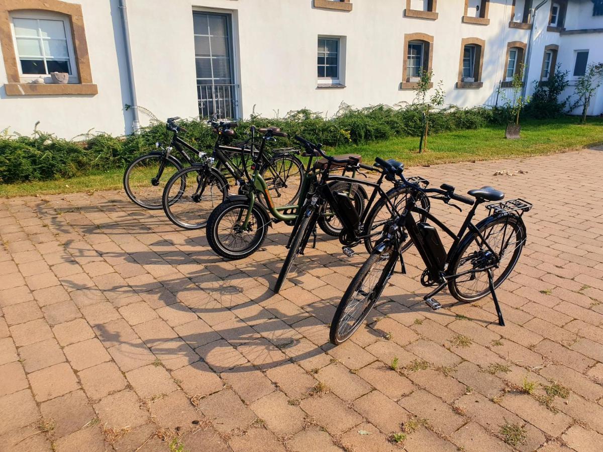 Grosse Bauernhaus Ferienwohnungen Bis 100Qm Mit E-Bike-Verleih Bad Rothenfelde Dış mekan fotoğraf